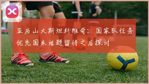 亚历山大斯坦科维奇：国家队任务优先国米话题留待之后探讨