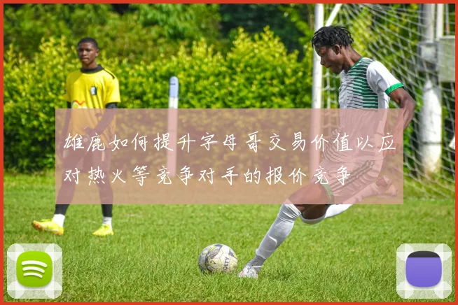 雄鹿如何提升字母哥交易价值以应对热火等竞争对手的报价竞争