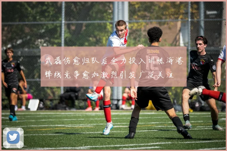 武磊伤愈归队后全力投入训练海港锋线竞争愈加激烈引发广泛关注