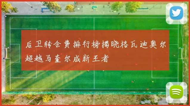 后卫转会费排行榜揭晓格瓦迪奥尔超越马奎尔成新王者